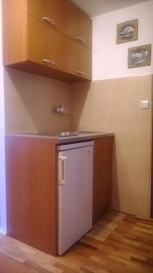 Guest House Milena Žabljak 部屋 写真